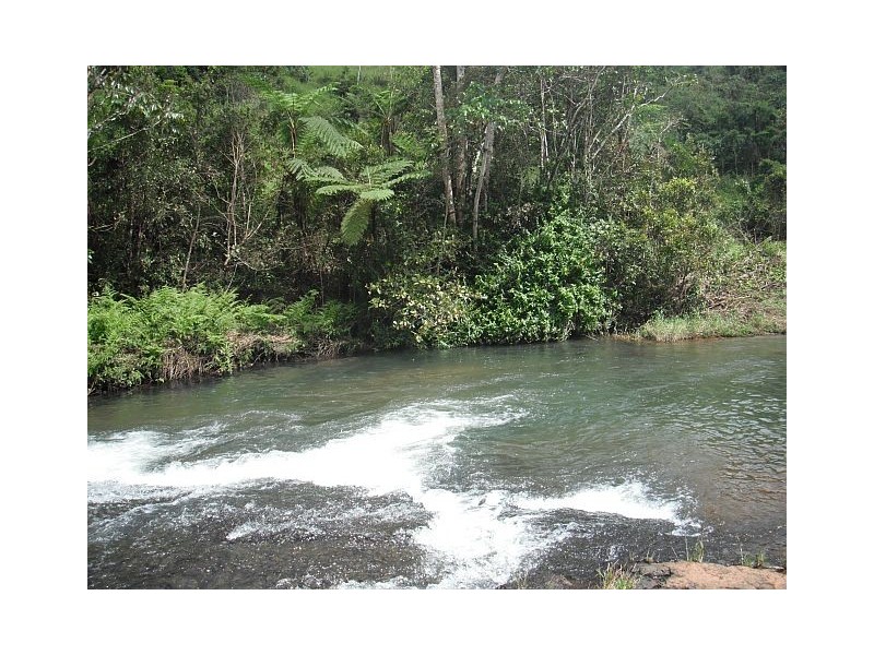 Millaa Millaa QLD 4886