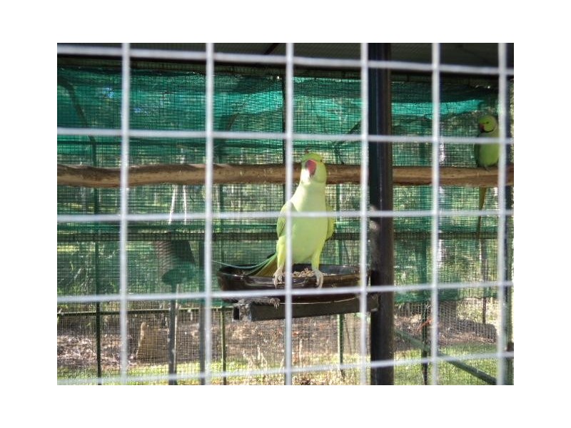 Ravenshoe QLD 4888