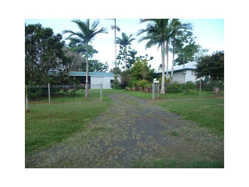 Millaa Millaa QLD 4886