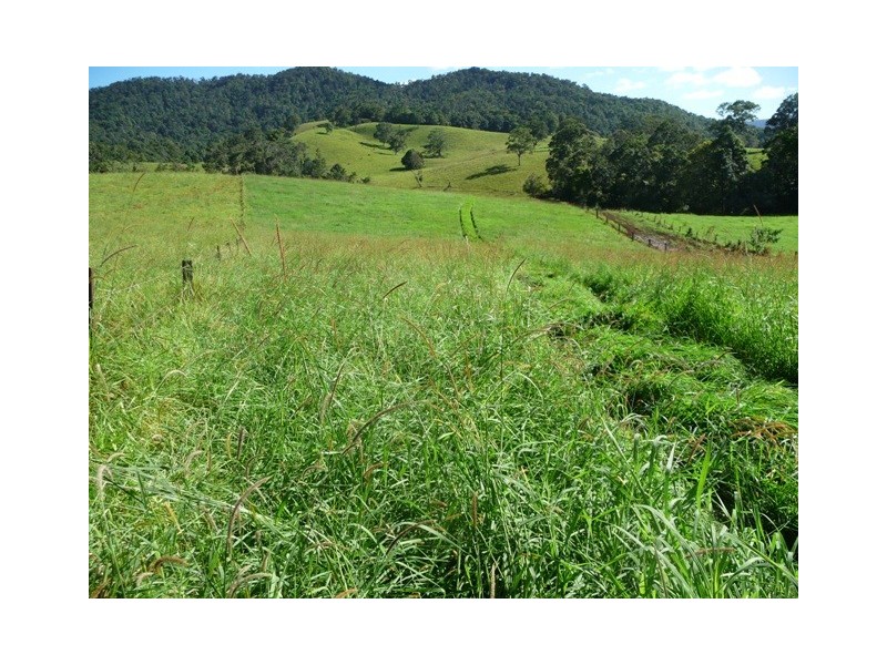 Millaa Millaa QLD 4886