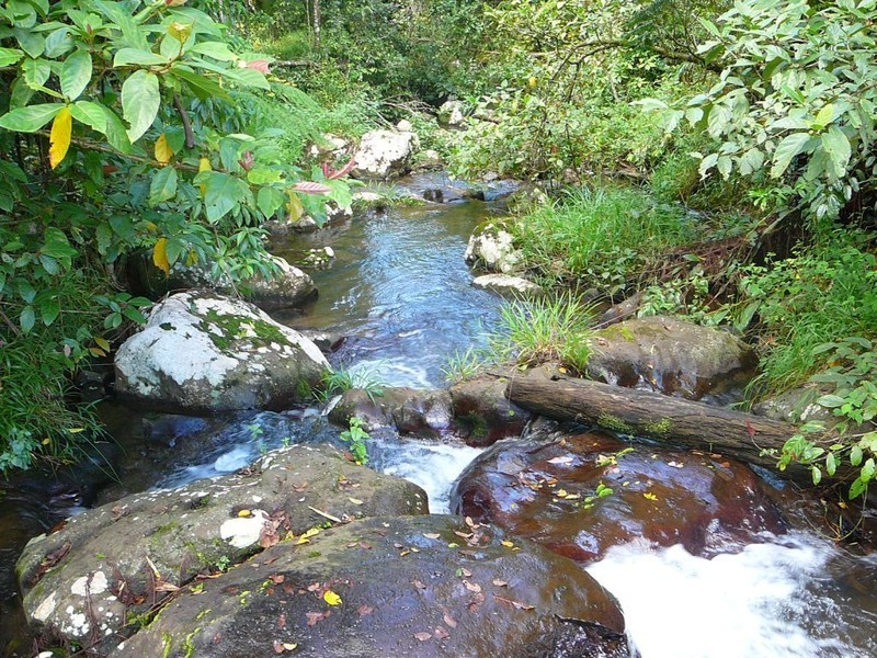 Millaa Millaa QLD 4886