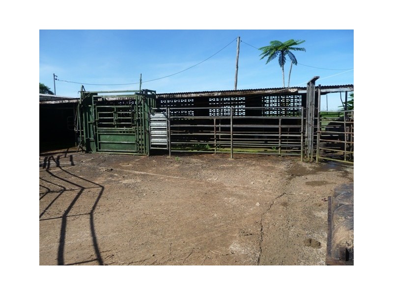 Millaa Millaa QLD 4886