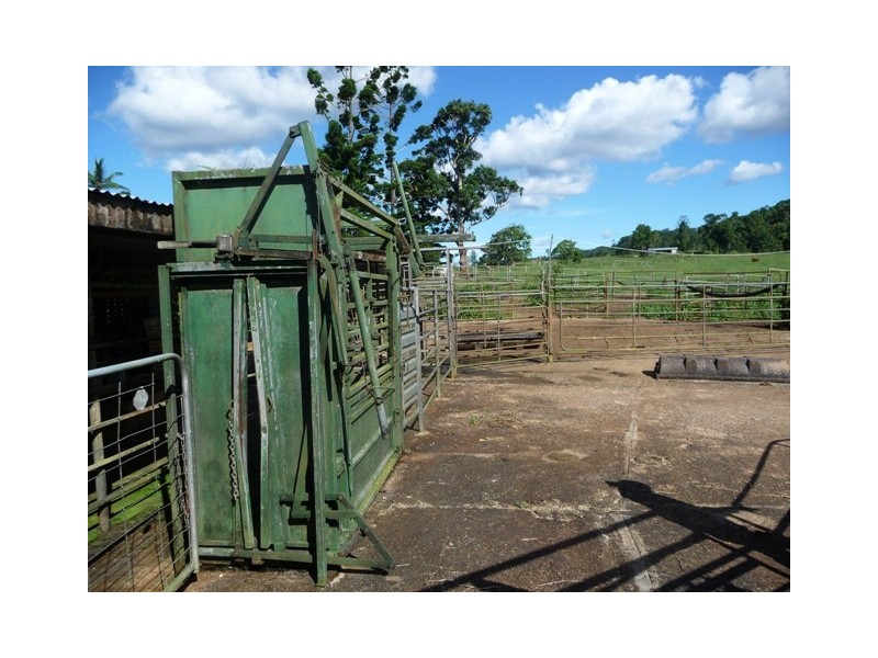 Millaa Millaa QLD 4886