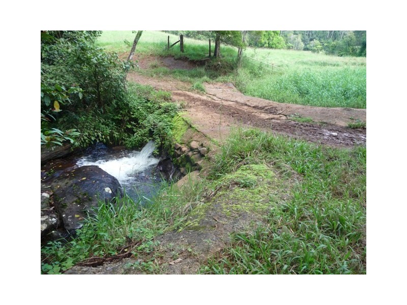 Millaa Millaa QLD 4886