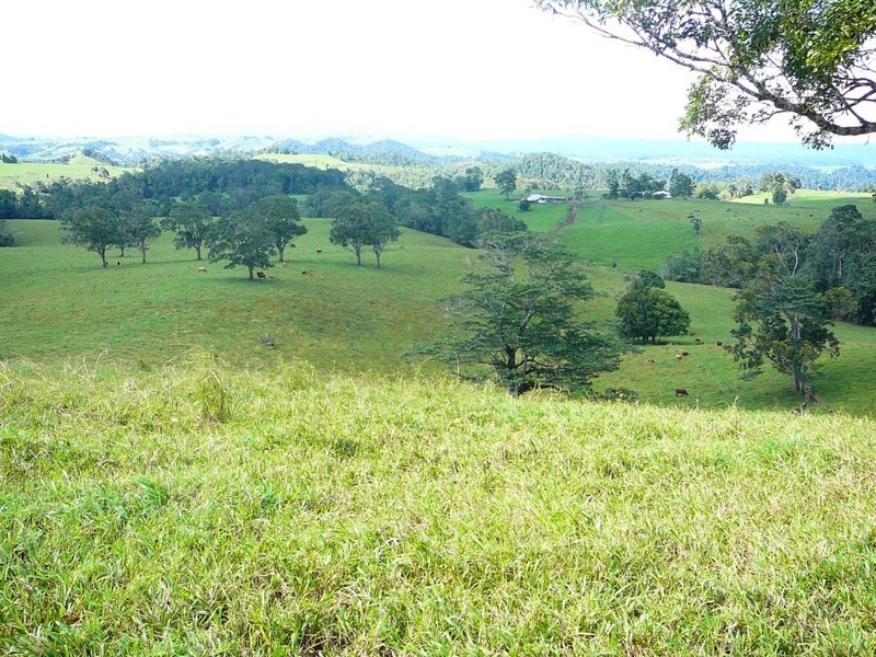 Millaa Millaa QLD 4886