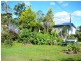 Millaa Millaa QLD 4886
