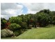 Yungaburra QLD 4884