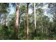 Atherton QLD 4883