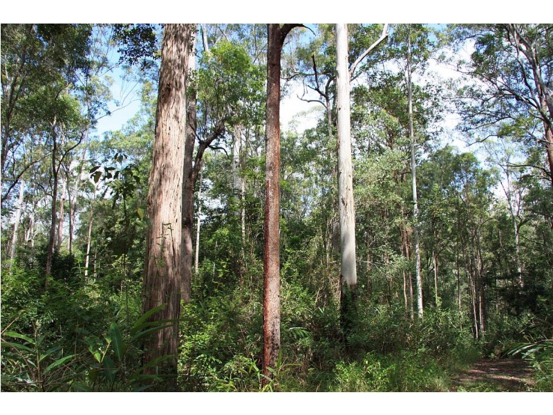 Atherton QLD 4883
