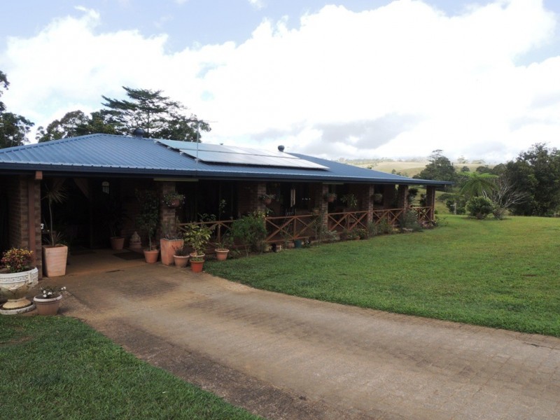 Millaa Millaa QLD 4886