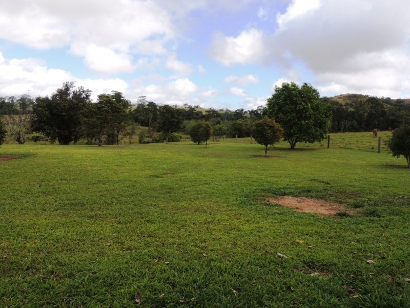 Millaa Millaa QLD 4886