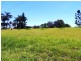 Malanda QLD 4885