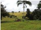 Malanda QLD 4885