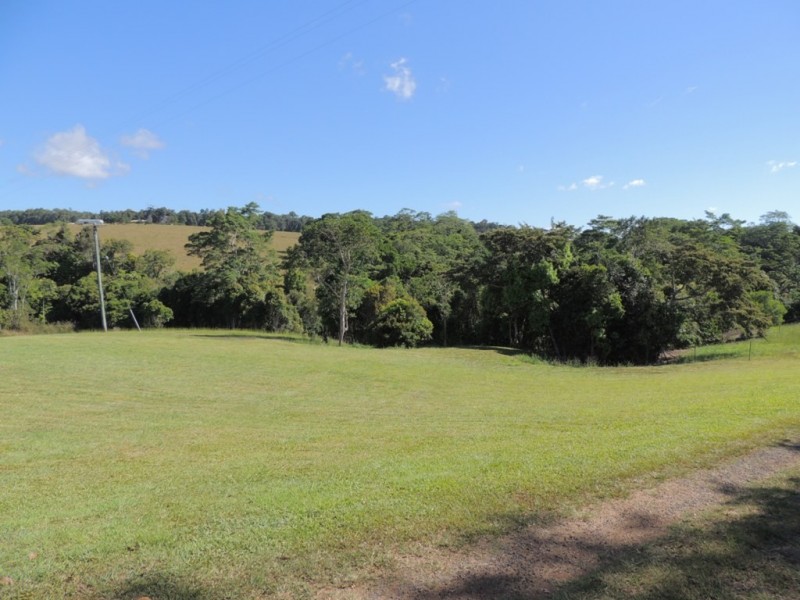 Lake Eacham QLD 4884