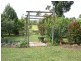 Yungaburra QLD 4884