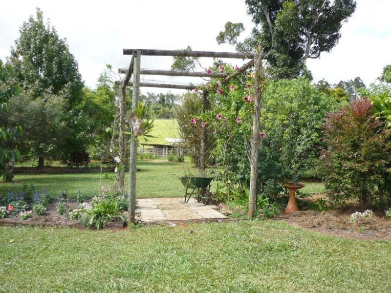 Yungaburra QLD 4884