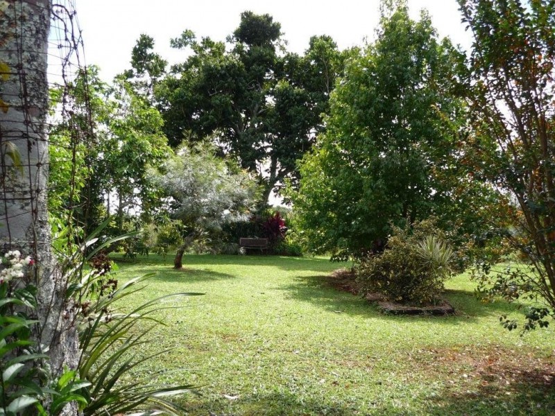 Yungaburra QLD 4884