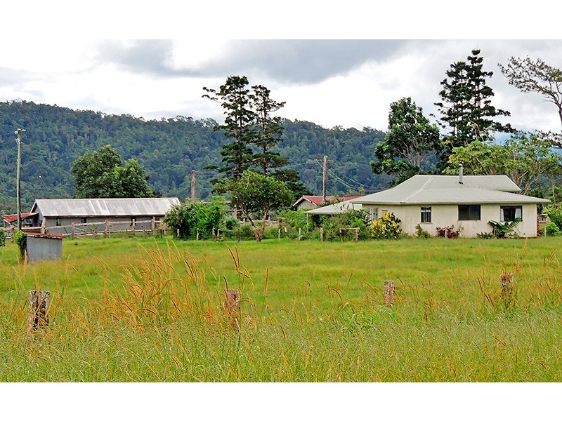 Millaa Millaa QLD 4886