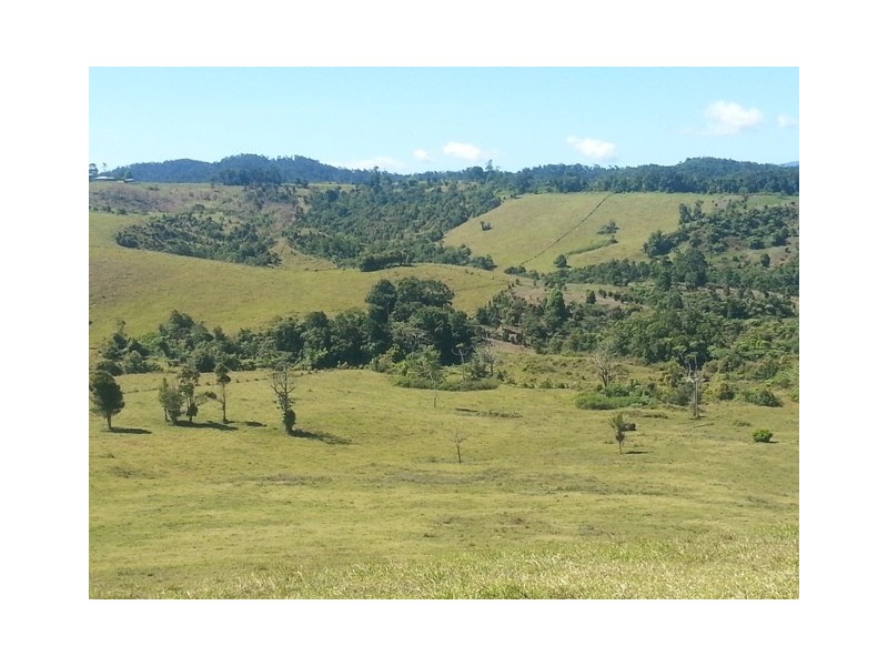 Millaa Millaa QLD 4886