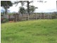 Millaa Millaa QLD 4886