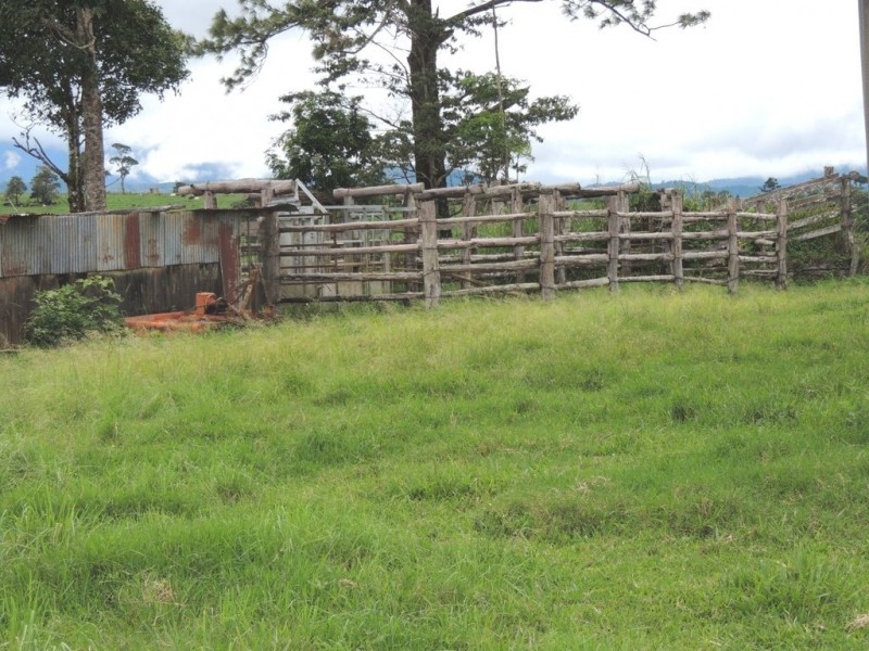 Millaa Millaa QLD 4886