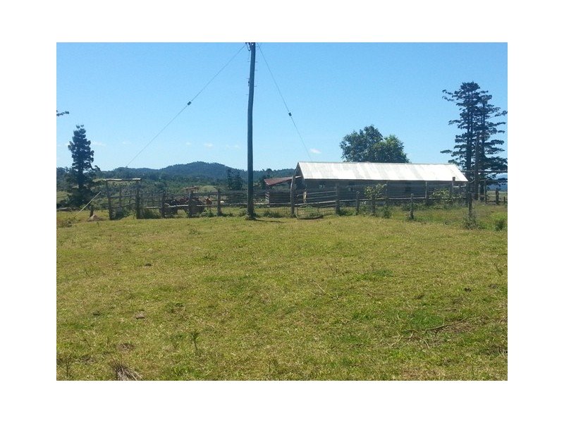Millaa Millaa QLD 4886