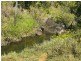 Millaa Millaa QLD 4886