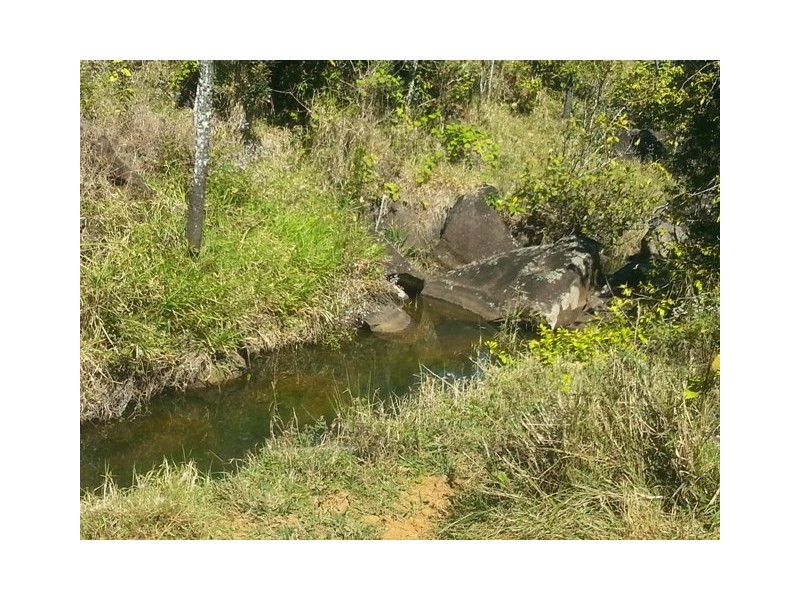 Millaa Millaa QLD 4886