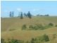 Millaa Millaa QLD 4886