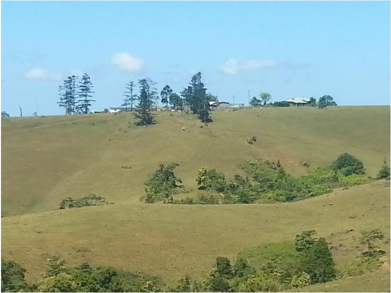 Millaa Millaa QLD 4886