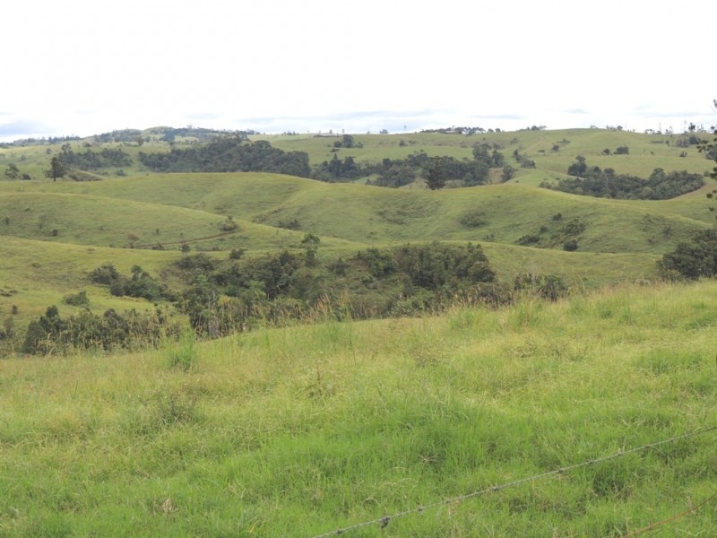 Millaa Millaa QLD 4886