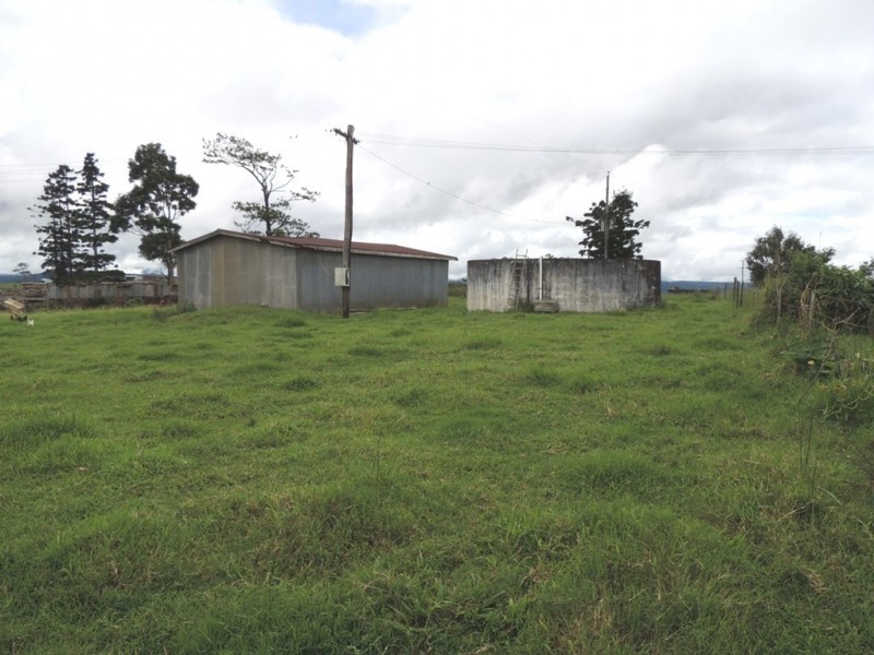 Millaa Millaa QLD 4886