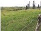 Millaa Millaa QLD 4886