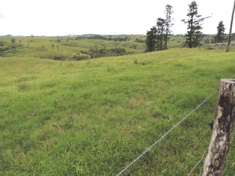 Millaa Millaa QLD 4886