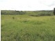 Millaa Millaa QLD 4886