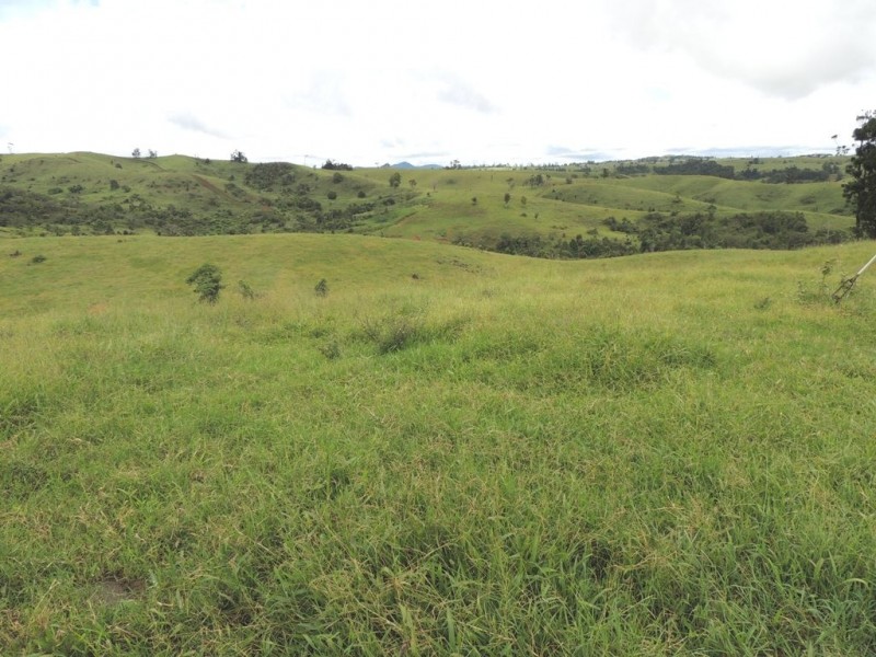 Millaa Millaa QLD 4886