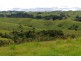 Millaa Millaa QLD 4886