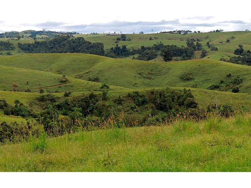 Millaa Millaa QLD 4886