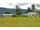Millaa Millaa QLD 4886