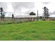 Millaa Millaa QLD 4886