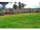 Millaa Millaa QLD 4886