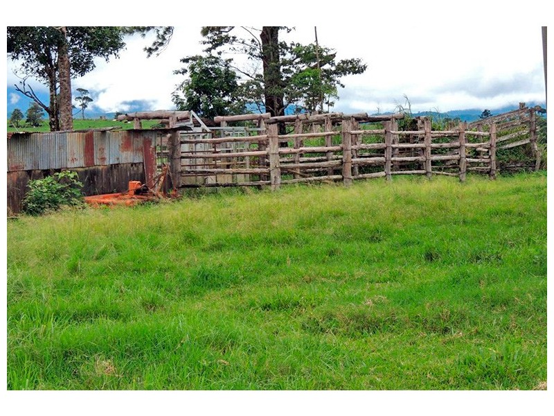 Millaa Millaa QLD 4886
