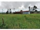 Millaa Millaa QLD 4886