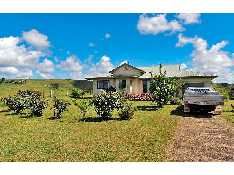 Millaa Millaa QLD 4886