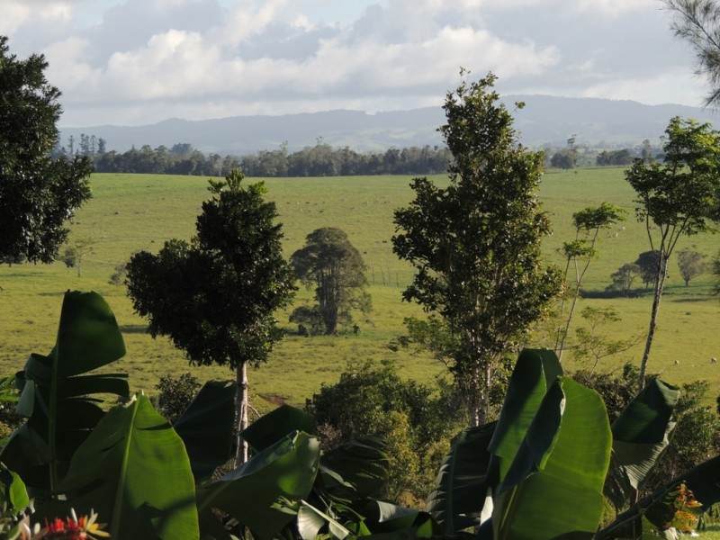 Yungaburra QLD 4884
