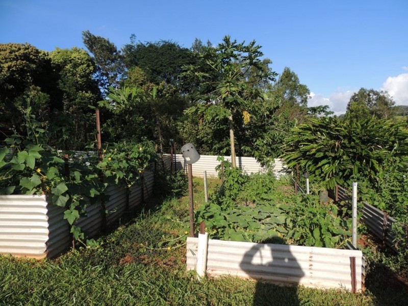 Yungaburra QLD 4884