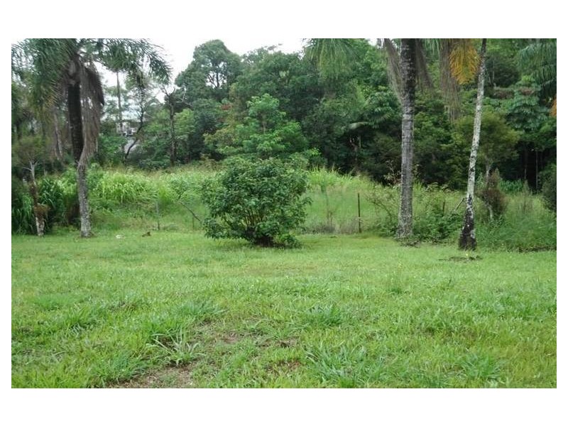 19 Palm Avenue, Millaa Millaa QLD 4886