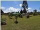Ravenshoe QLD 4888