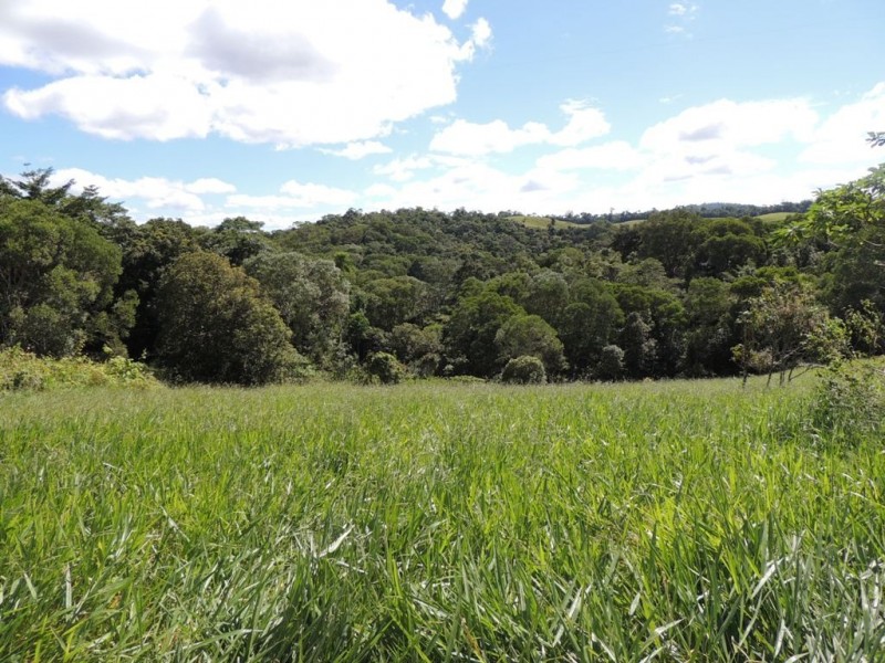 Lot 289 Ware Road, Topaz QLD 4885