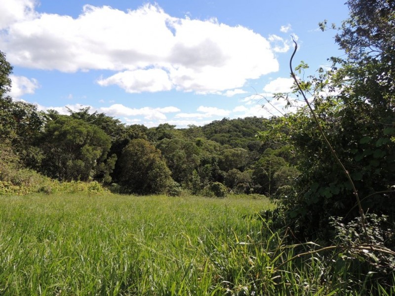 Lot 289 Ware Road, Topaz QLD 4885